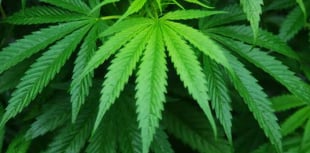 Woman fined hundreds for possessing half a gram of cannabis
