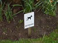 Warning issued to Isle of Man dog owners ahead of CCTV crackdown