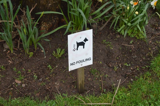 Warning issued to Isle of Man dog owners ahead of CCTV crackdown