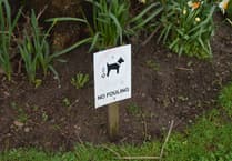 Warning issued to Isle of Man dog owners ahead of CCTV crackdown in the capital