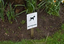 Warning issued to Isle of Man dog owners ahead of CCTV crackdown