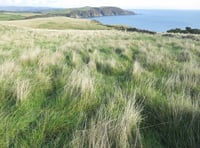 Plans for a new woodland corridor