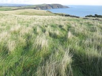 Plans for a new woodland corridor