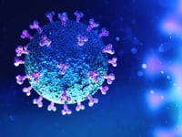 Active Covid cases more than 400