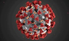 76 new cases of Coronavirus detected