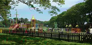 Park equipment to be removed due to damage