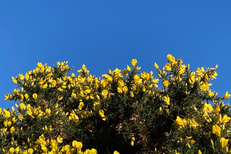 Isle of Man efforts to help Ukraine 