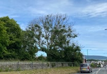 Road closures caused by fallen trees double