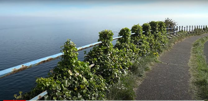 Charles Guard criticised the disrepair of Marine Drive’s Victorian railings 