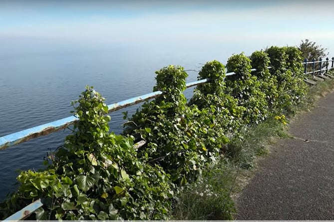 Charles Guard criticised the disrepair of Marine Drive’s Victorian railings 