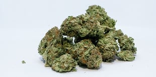 Three 'young and foolish' drug dealers narrowly avoid prison