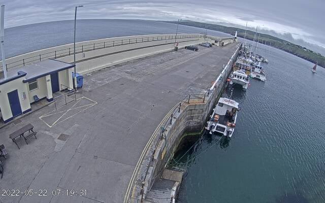 Peel webcam