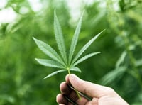 Drug dealer must do unpaid work as punishment