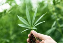 Adjournment in cannabis supply case