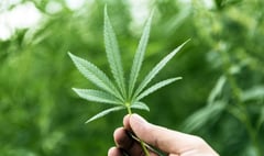 Pharmacy granted medical cannabis licence