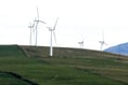 Letter to the editor: We need renewable energy businesses