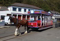 Horse trams expected to begin to run this week as part of festival