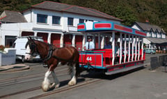 Horse trams from end of July?