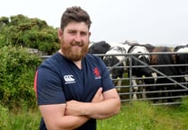 Phil Cringle named as head coach at Douglas Rugby Club