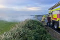 Discarded cigarette believed to have caused hedge fire