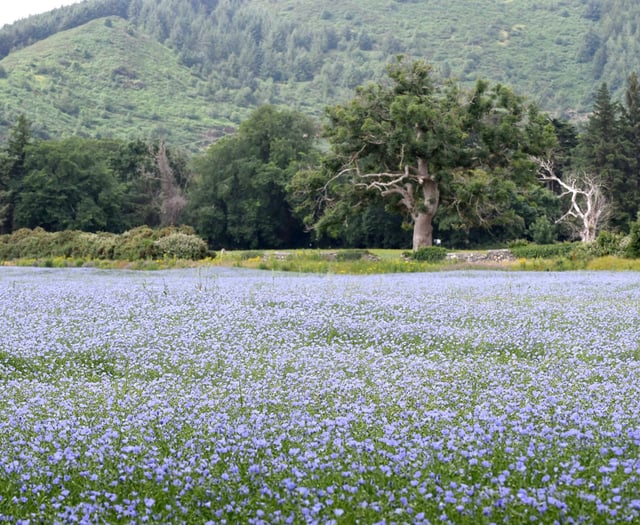 Leader sought for new UNESCO Biosphere board