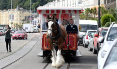 Horse trams return to Douglas Promenade.