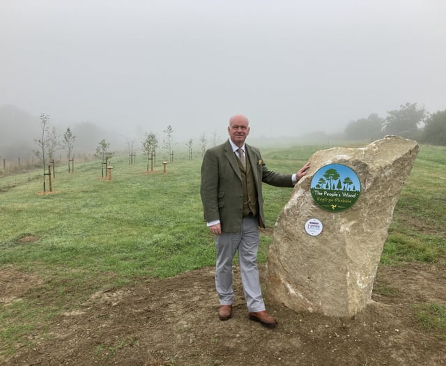 Half of People’s Wood is dead