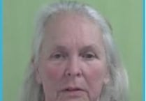 Woman jailed for 20 weeks for animal neglect