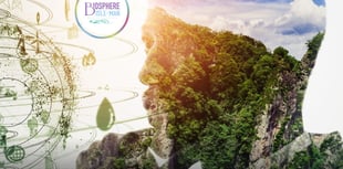 Sustainability workshops postponed until new year