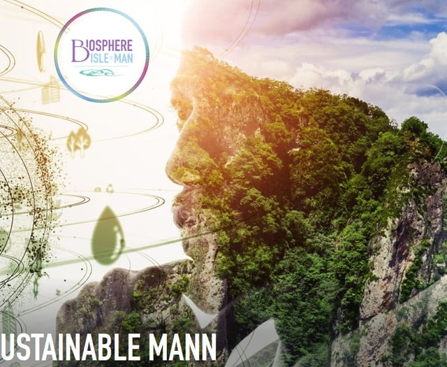 Sustainability workshops postponed until new year