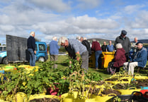 Annual ‘Big Spud’ competition’s weigh in tomorrow
