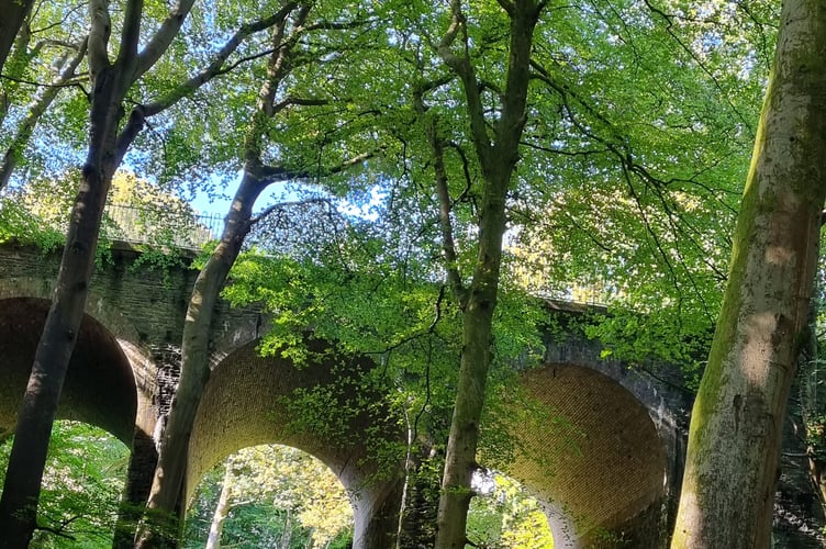 Groudle Glen 