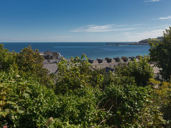 iom rental views 