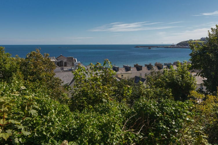 iom rental views