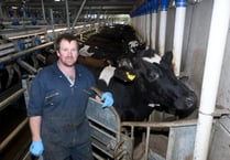 Dung beetles help David to Chough Award win