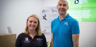 Sharing ideas on attracting more wildlife