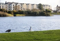 Seagulls ‘attack children in park’