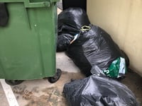 Council promises support for people who are struggling with their bins
