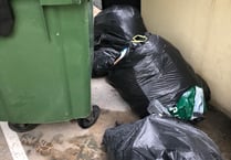 Council promises support for people who are struggling with their bins
