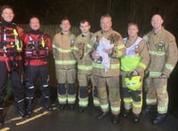 Puppy rescued from river after seven hours 