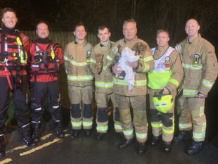 Puppy rescued from river after seven hours 