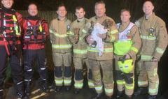 Puppy rescued from river after seven hours 