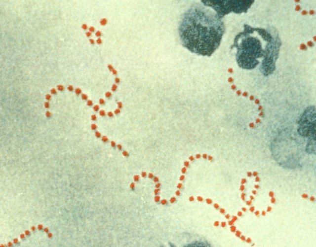 Scarlet fever cluster at nursery