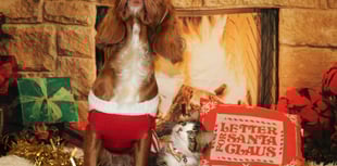 ManxSPCA column: Dangers for pets over Christmas