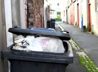 Petition calling for the return of weekly bin collections