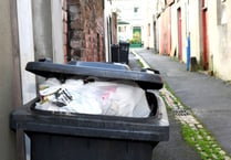 Petition calling for the return of weekly bin collections