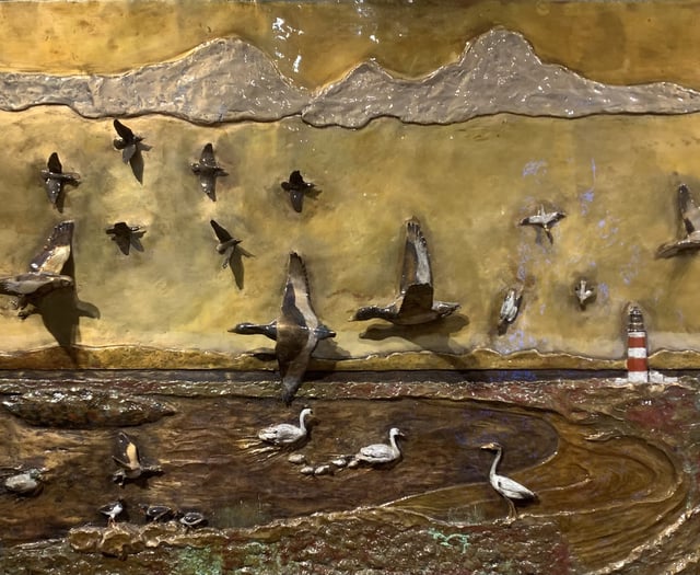 Manx BirdLife display coming to an end at the Manx Museum