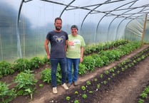 Red Mie offers chilli growing courses