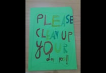 Children design posters designed to persuade people to pick up dog poo