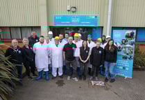 Meat plant recovery begins with an A+ rating